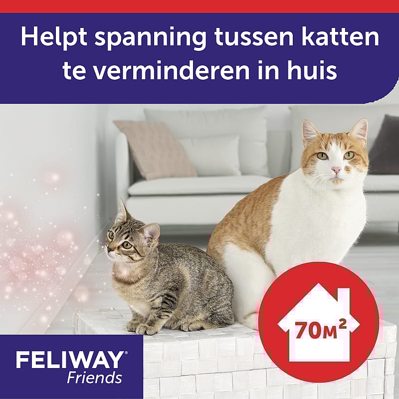 Feliway Friends