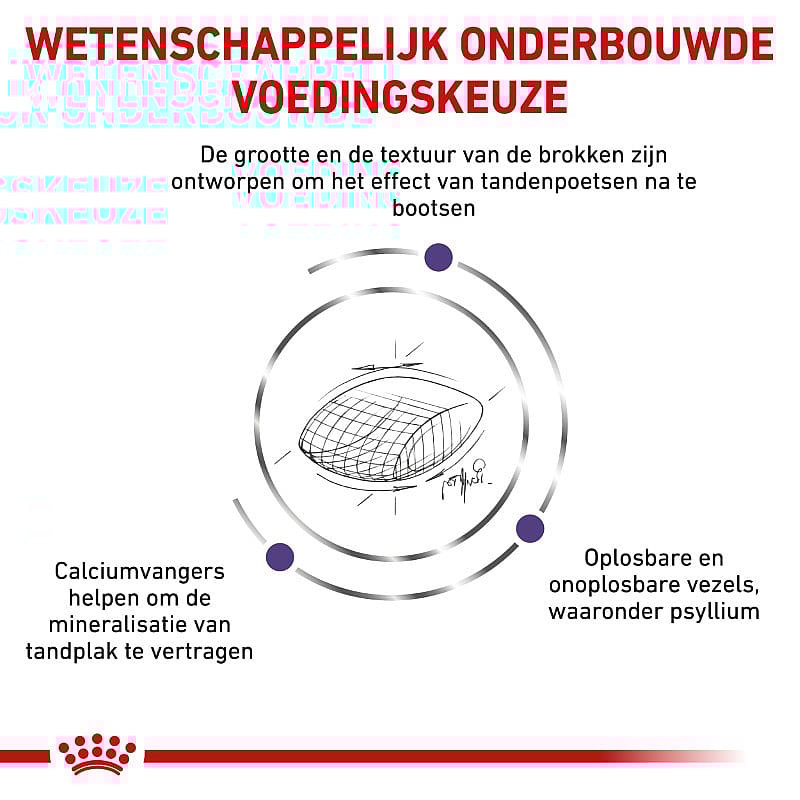 Royal Canin Dental Kat