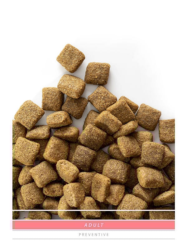 Sanimed Adult Hondenvoer: Alle Rassen - Ondersteunt Weerstand - Spijsvertering 12.5 kg