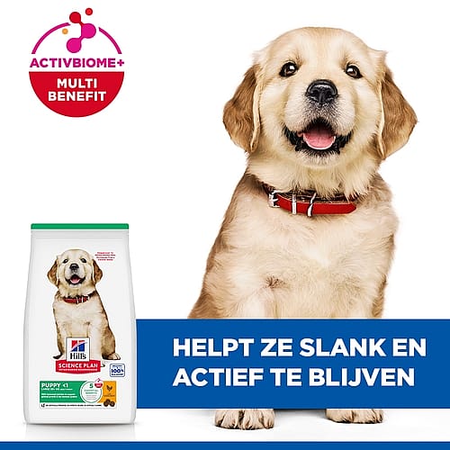 hond, hondenvoer, puppy, rode halsband, voerzak
