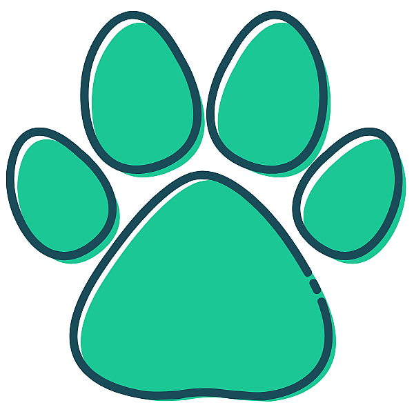 Turkoois, Kussen, Woondecoratie, Turkoois, Kussen, Woondecoratie