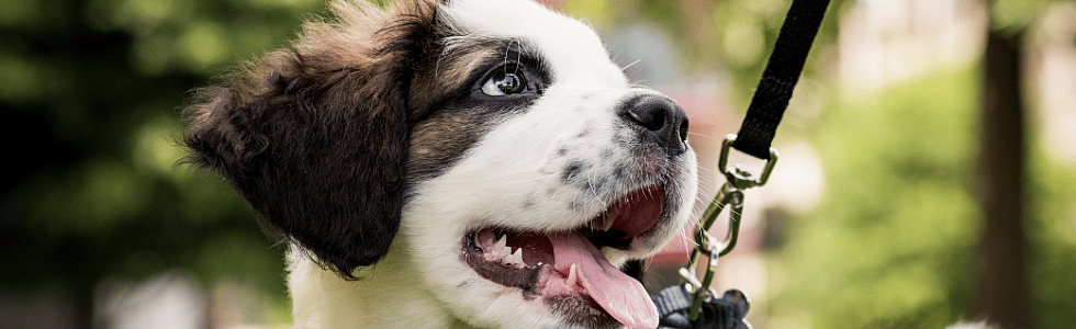 ba5955399509fe2983f3ca769135b593