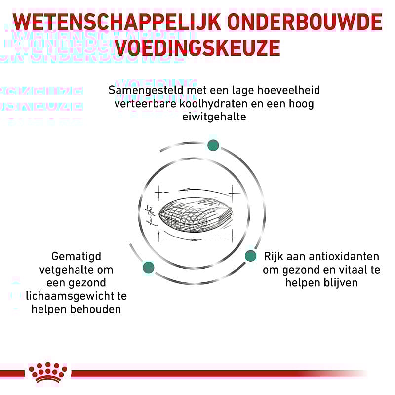 Royal Canin Diabetic Hond 1.5 kg