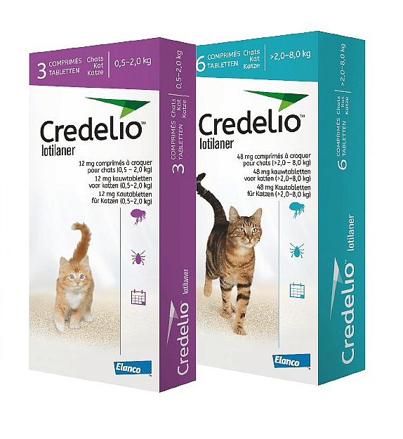 Credelio Kauwtablet Kat