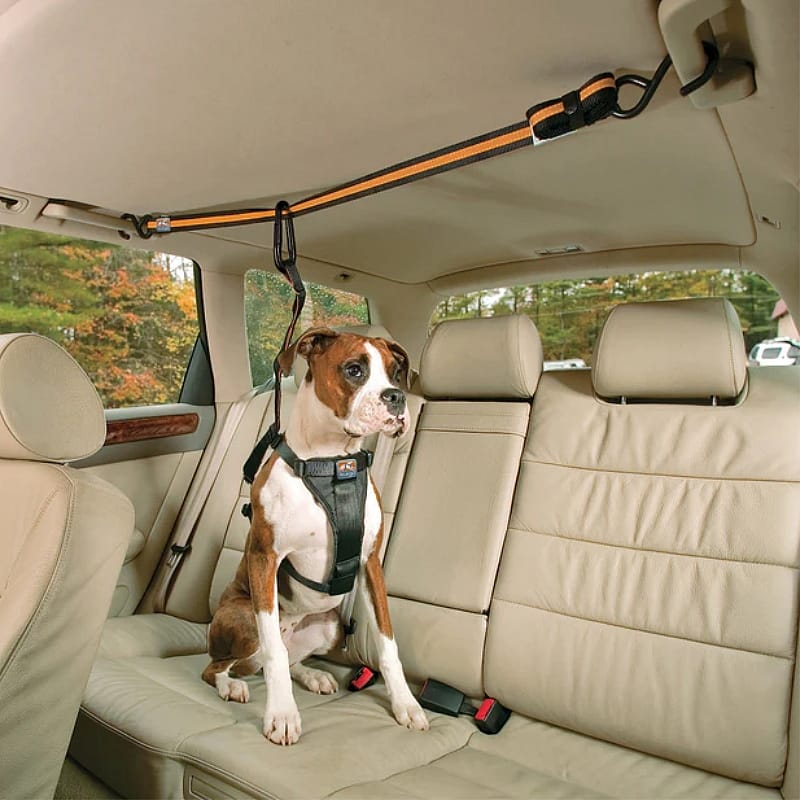 Kurgo Auto Zip Line Combo Hond