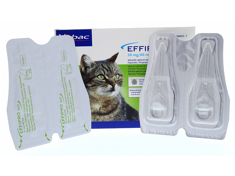 Effipro Duo Spot-on Kat 1 tot 6 kg