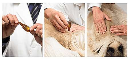 Dermoscent Atop 7 Spot-on 10-20 kg 4 pipetten