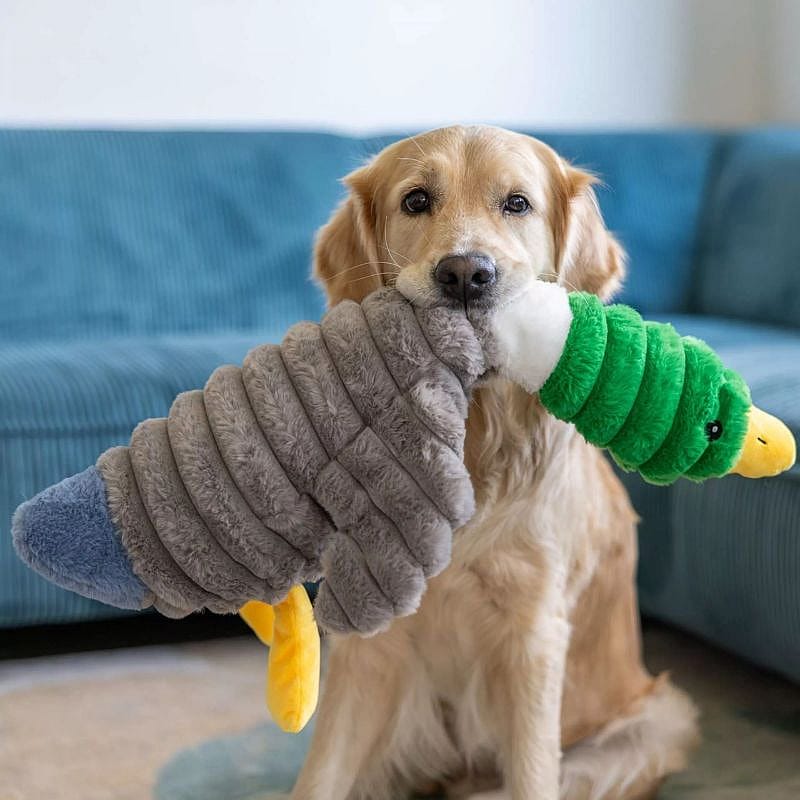 hondenknuffel, speelgoed, kussenknuffel, grijze rand, gele staart