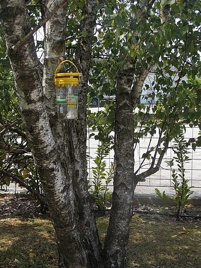 Flybuster vliegen systeem Garden Trap incl. 40 gram lokaas