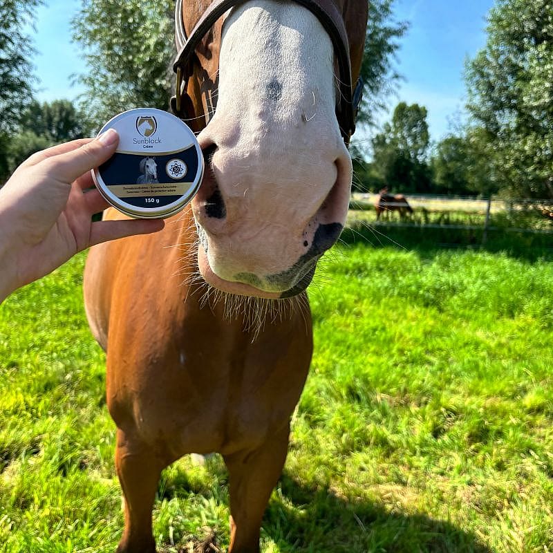 Excellent Equi Sunblock