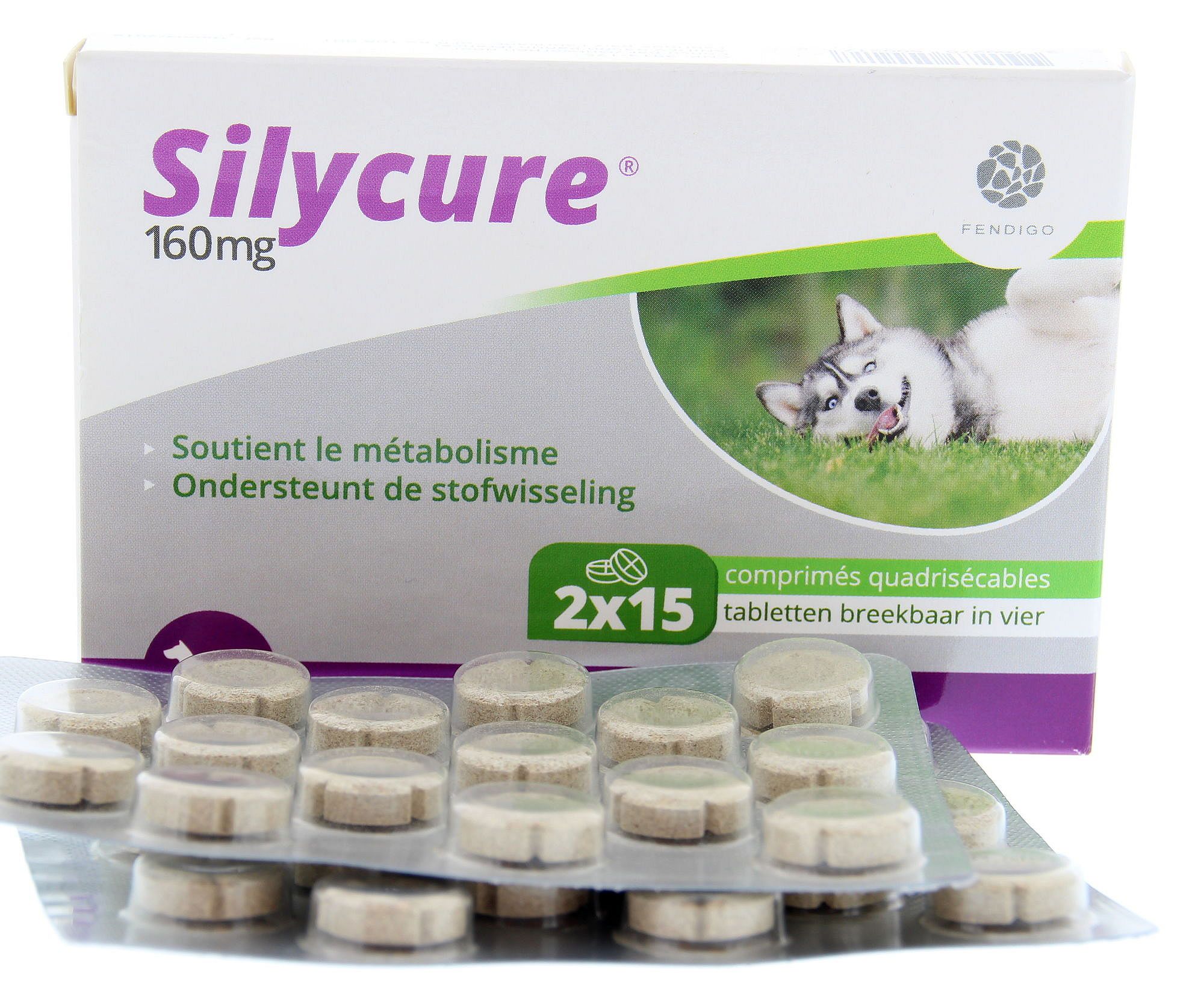 Silycure Fendigo 2 x 15 tabletten - 160 mg