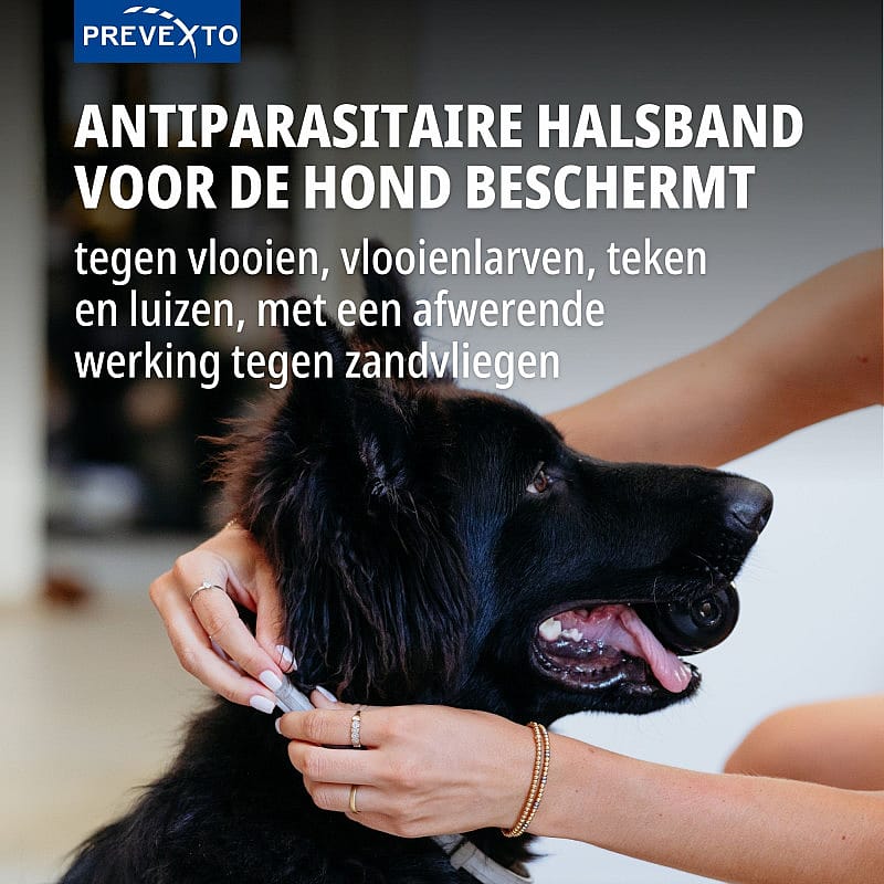 hondenband, antiparasitair, tuig, band, hondenverzorging