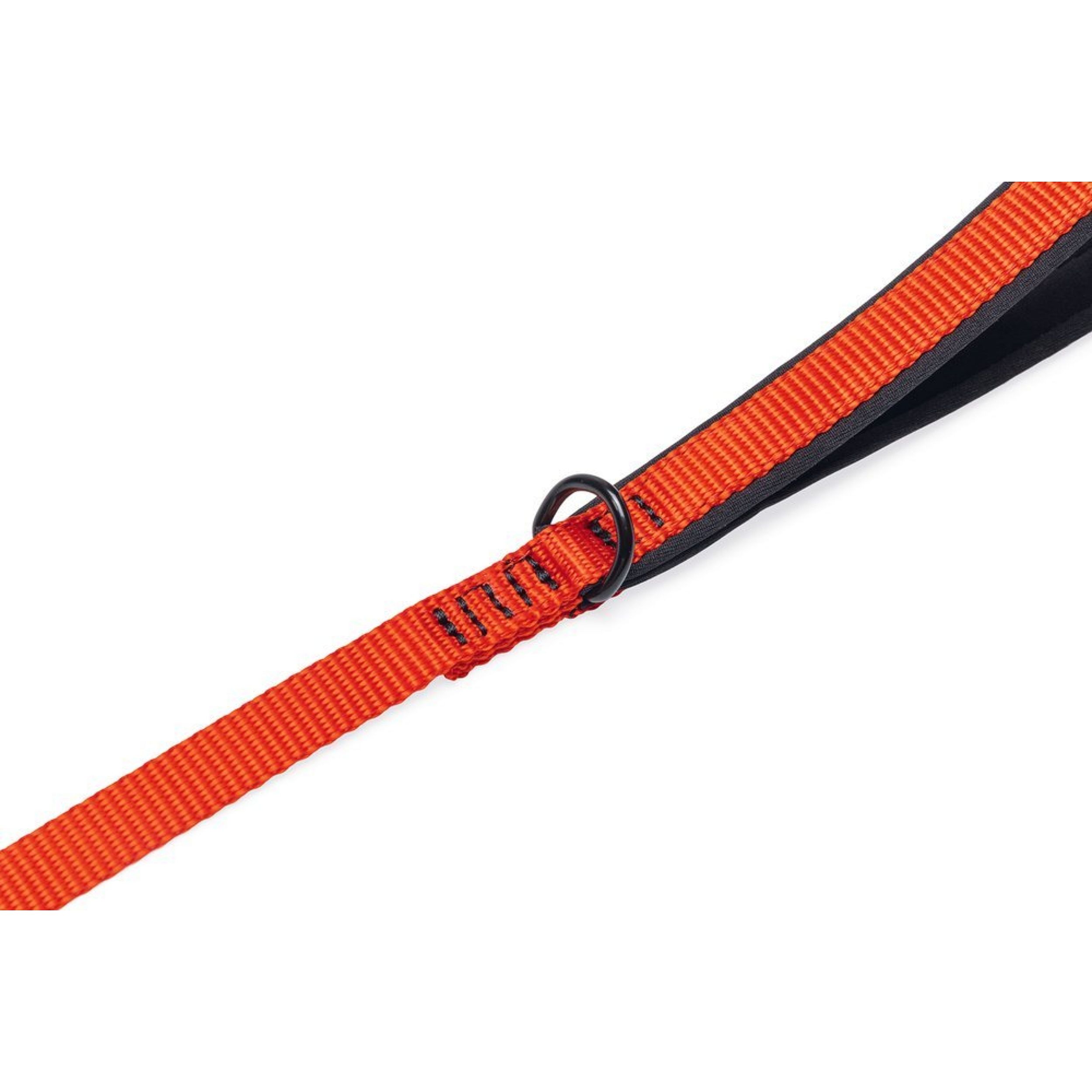 riem, oranje, kabel, ring, stof, dog leash, orange strap, plastic ring, adjustable, nylon