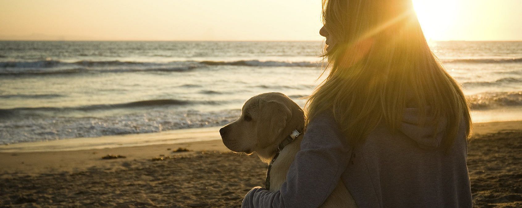 80c52ee71fa321ca8cede1d97677e9a2