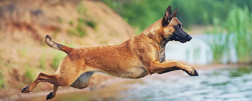 218de11c7fe5aedd8f91e5ea0285696c