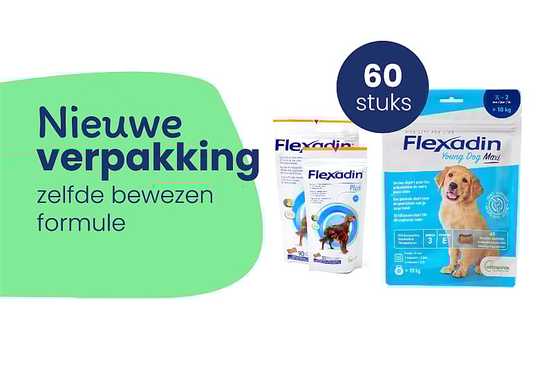 Flexadin Young Dog Maxi - 60 Kauwbrokjes