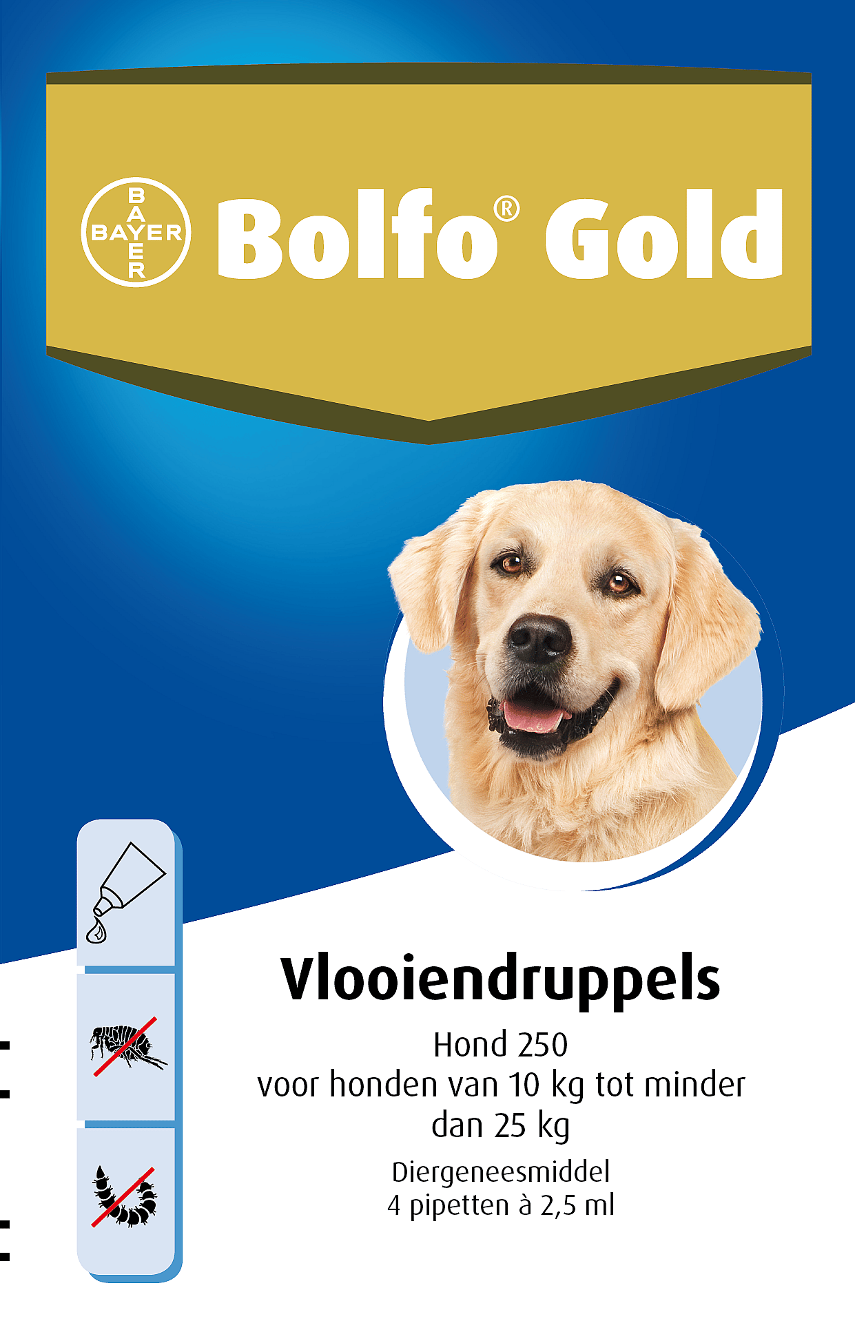 Bolfo Gold Hond 10 - 25 kg - 4 pipetten - 250 mg