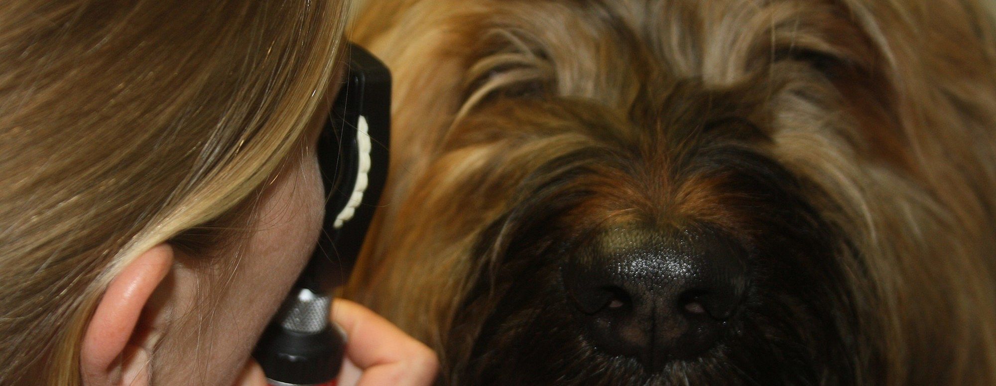 ae9807af36d639724b3f7678352bbf67