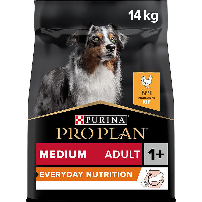 Purina® DOG CHOW®: Adeus monotonia! Novas combinações de proteínas - CBA B G
