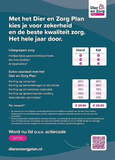 Dier-en-Zorg-Plan-Hond-Kat