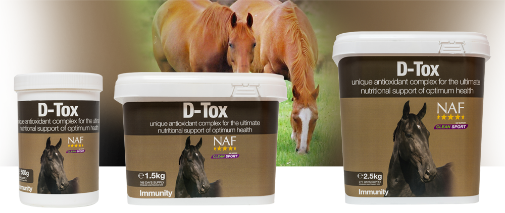 NAF D-Tox – Voor weerstand en afvoer van afvalstoffen bij paarden 1.5 kg