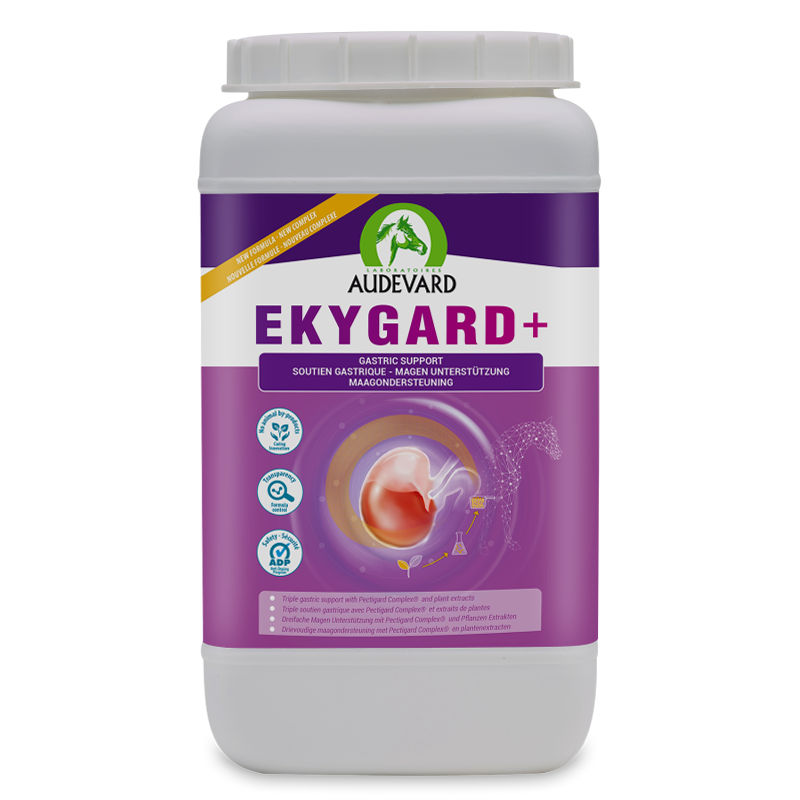 Audevard Ekygard+ Maag Stress Paard