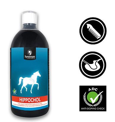 Synovium Hippochol Lever Paard 1 liter