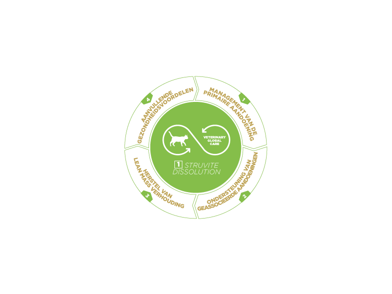 HPM Cat Urology Struvite Dissolution - Struvite Stones 3 kg