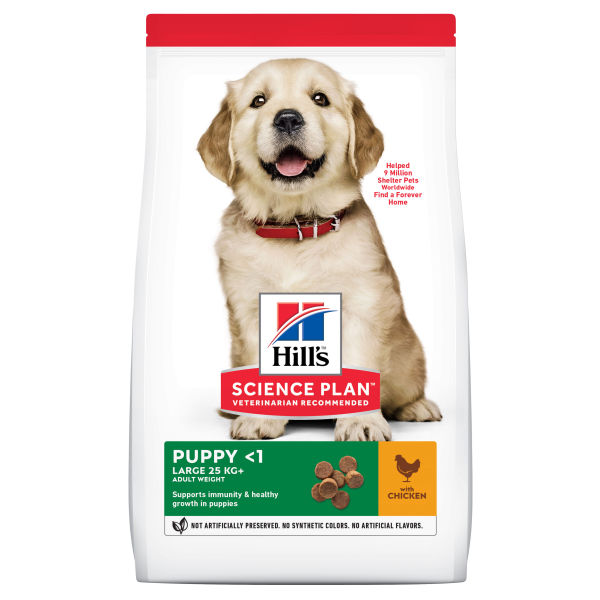 Hill's Science Plan Large Breed Puppyvoer Kip, Hond, Zoogdier, Huisdier, Puppy