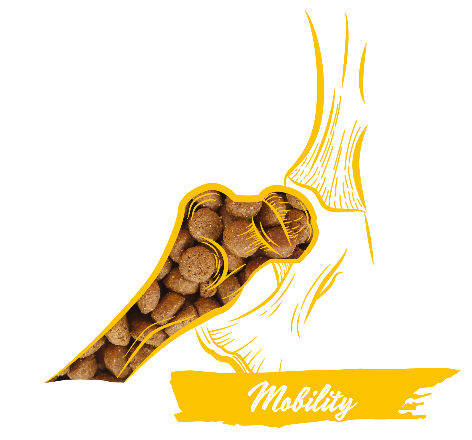 Calibra Dog Expert Nutrition Mobility Chicken & Rice