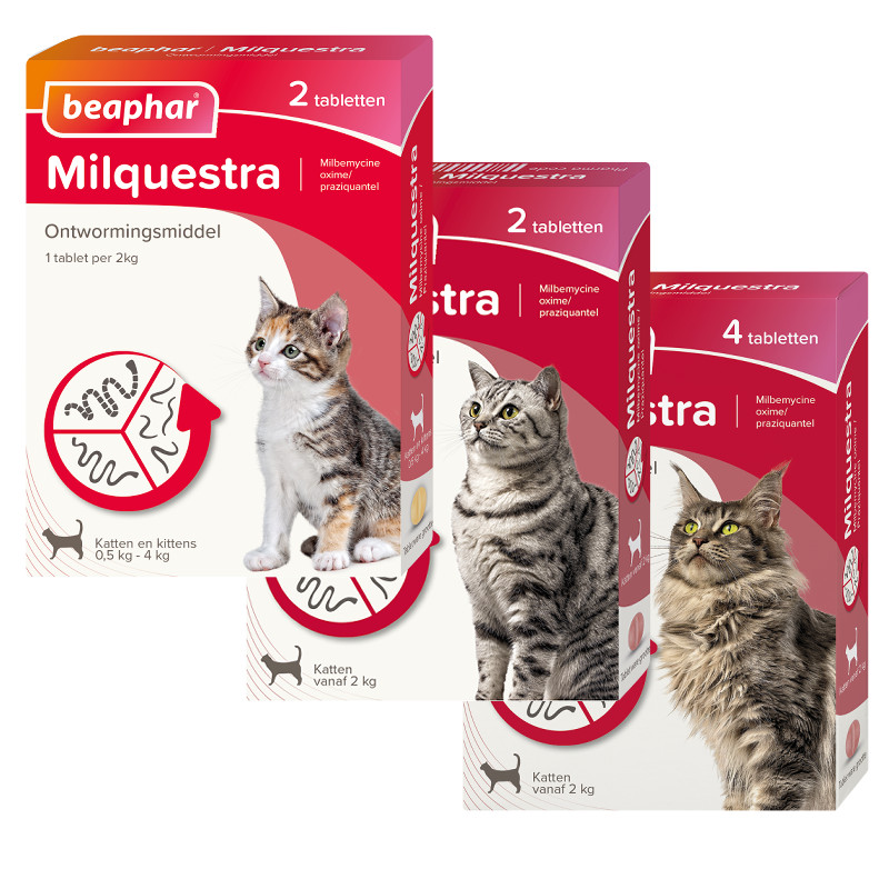Beaphar Milquestra Ontwormingstabletten Kat 2 Tabletten - Kleine Kat en Kitten 0.5 tot 4 kg