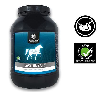 Synovium Gastrosafe Maag Paard 1.5 kg