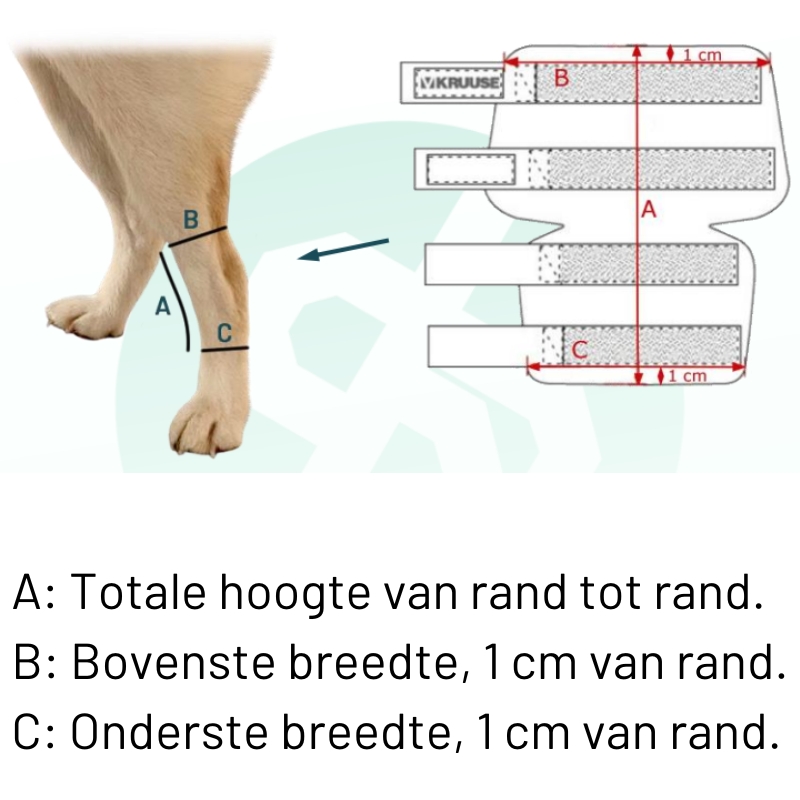 Kruuse Rehab Hock (Tarsus) Protector