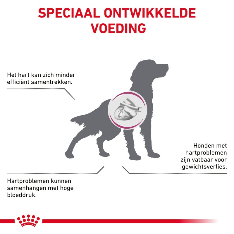 Royal Canin Cardiac Hond 2 kg, Advertentie, Poster, Hond, Zoogdier, Huisdier