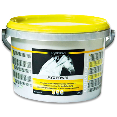 Equistro Myopower Paard 1.2 kg, Verfcontainer, Kan, Tin