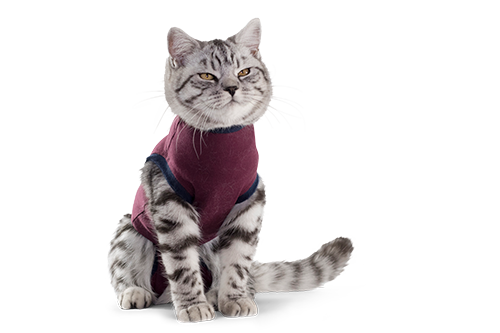 Jacketz Medical Body Suit voor Katten Maat XXX-Small