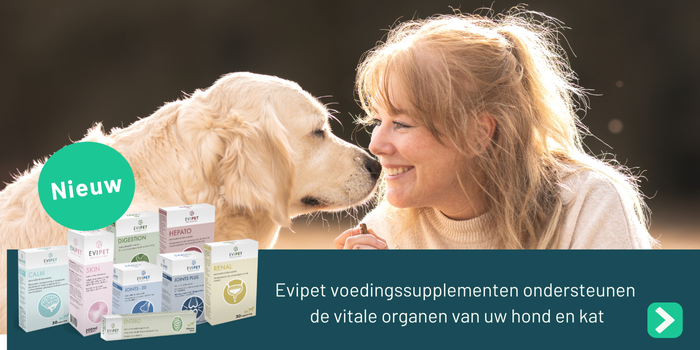 AE - Evipet Joints Gewrichten 10 - Kleine Hond/Kat - 60 tabletten