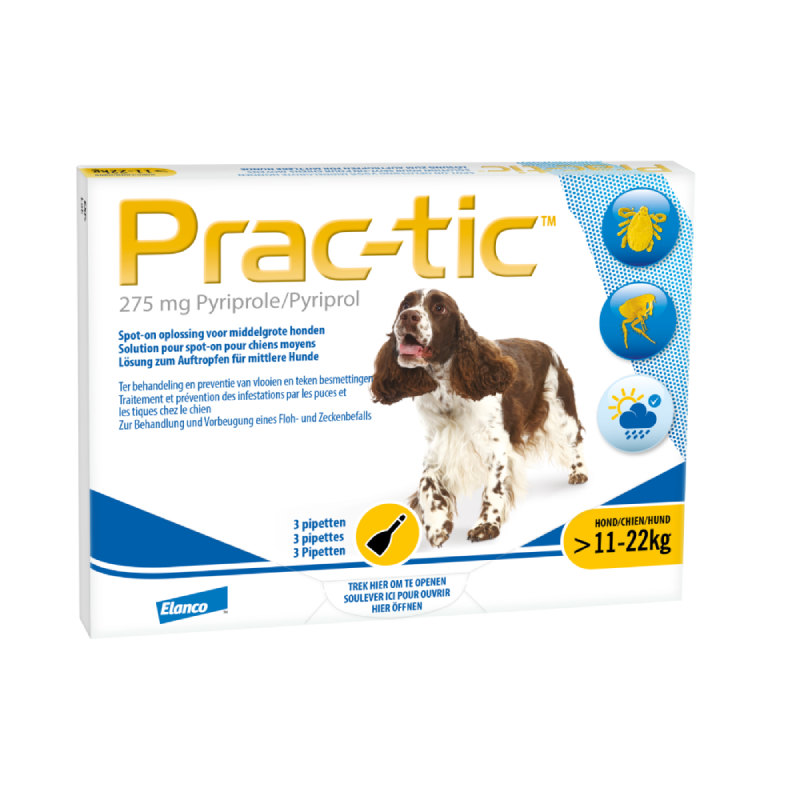 Prac-tic Hond Hond 11 tot 22 kg - 3 pipetten, Dier, Hondje, Hond, Zoogdier, Huisdier