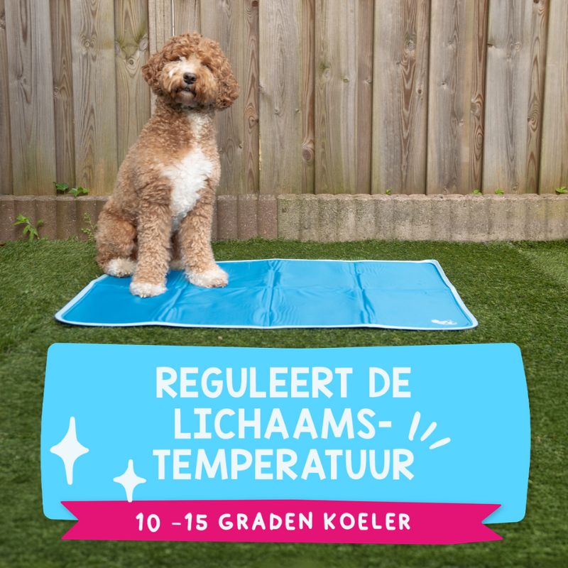Coolpets Premium Solid Gel Cooling Mat Hond Maat Medium