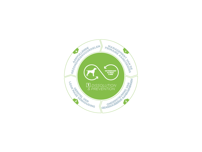 HPM Dog Urology Dissolution & Prevention 12 kg