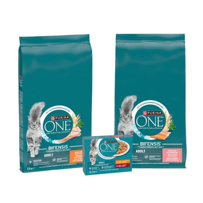 Purina One Adult Kat