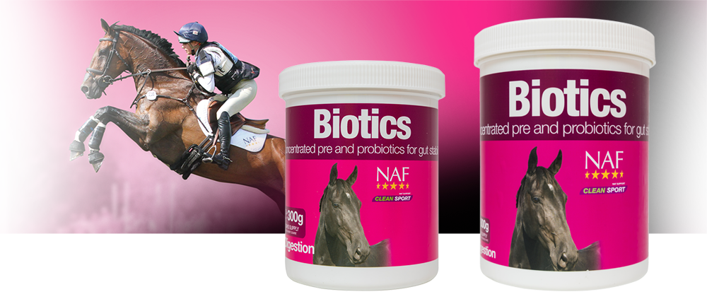 NAF Biotics – Pre- en probiotica voor darmgezondheid bij paarden