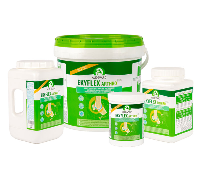 Audevard Ekyflex Arthro EVO Gewricht Paard 900 gram