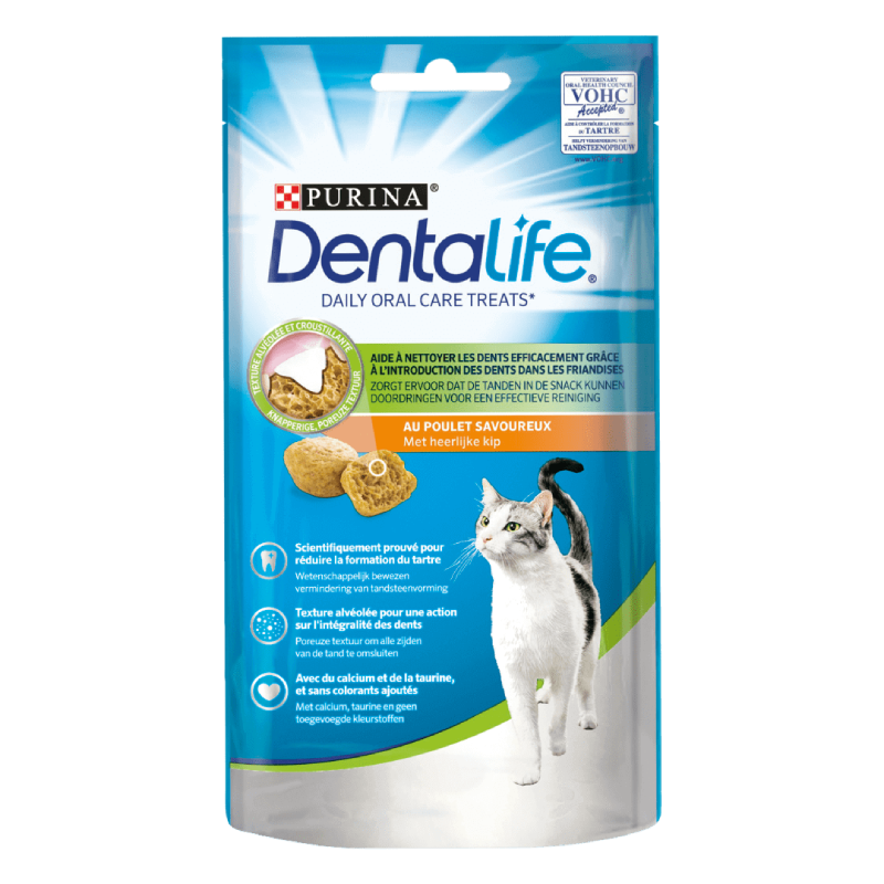 Purina DentaLife Kat Kip - 40 gram