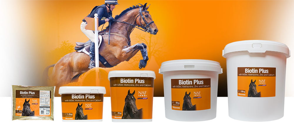 NAF Biotine Plus – Supplement voor hoefgezondheid bij paarden