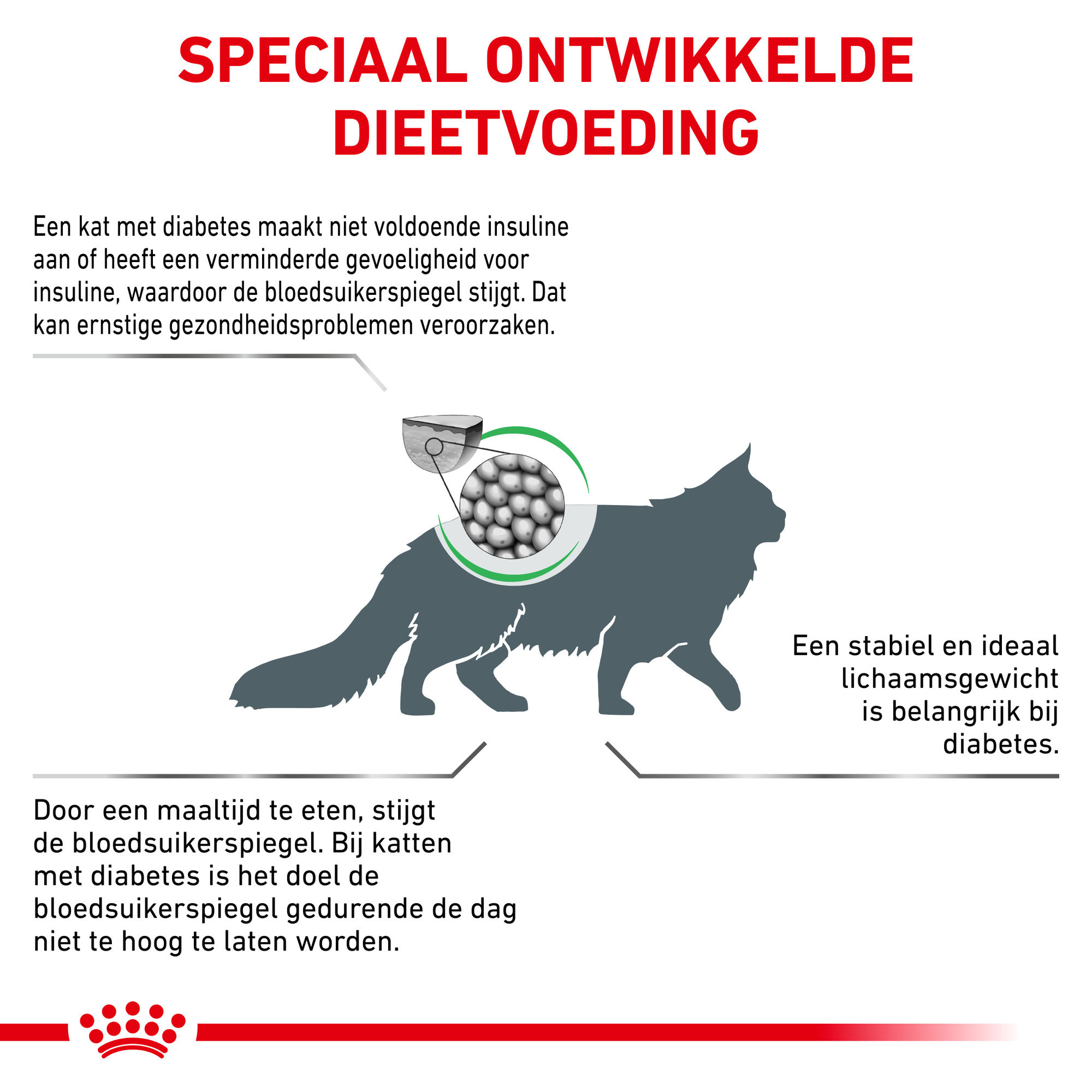 Royal Canin Diabetic Kat