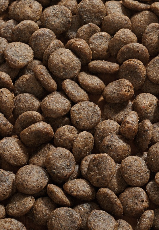 Vet-Concept Sensitive Diet Gans Hondenvoer