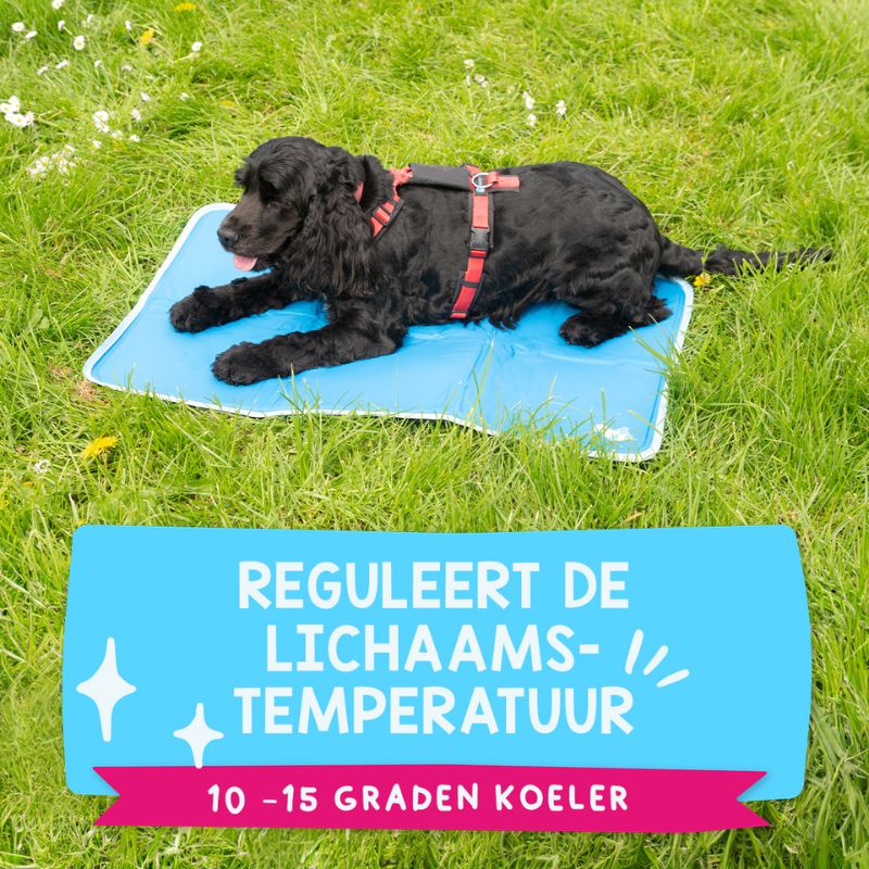 Coolpets Premium Solid Gel Cooling Mat Hond Maat Large