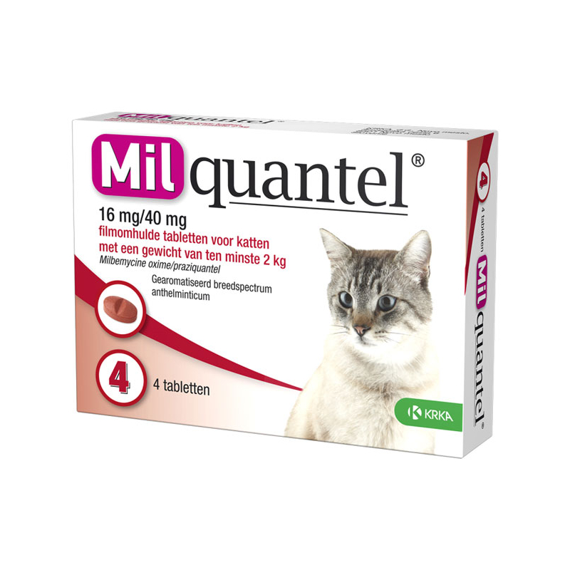 Milquantel Ontwormingstablet Grote Kat 4 tabletten - 16 mg - Grote kat > 2 kg