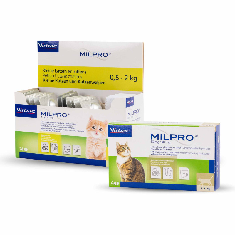 Milpro Ontwormingstabletten Kat Grote Kat - 4 tabletten